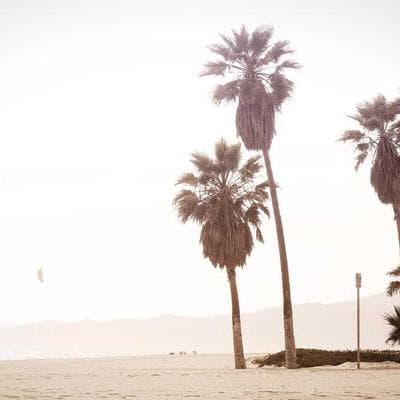 Album na zdjęcia Electronic