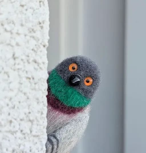 Pigeon Bubba